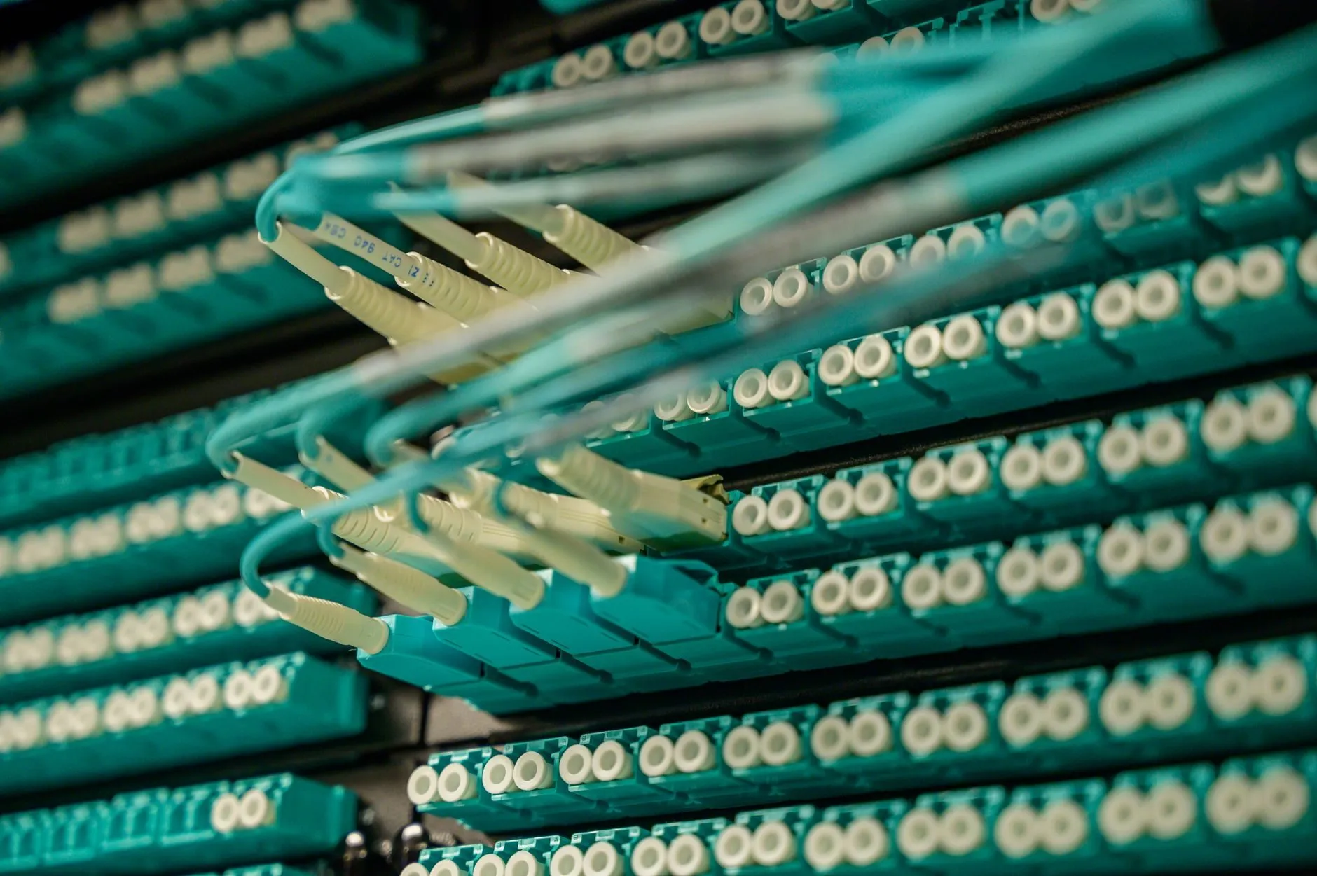 Turquoise fibre patch cables plugged into rows of ports